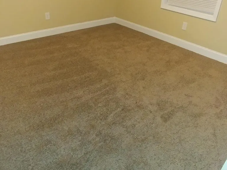 2801 Julius Felder St #2801 — Photo 6