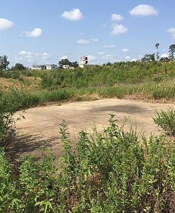 3rd image of 130 Village Forest Dr