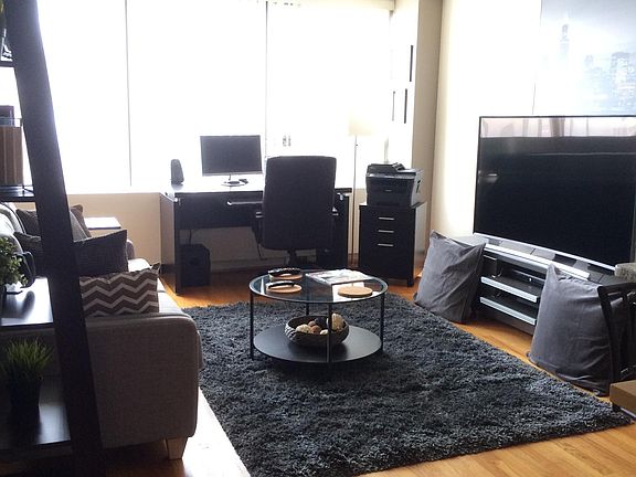 3rd image of 2800 N Lake Shore Dr APT 3009