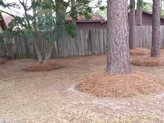 3rd image of 5737 McDougal Dr