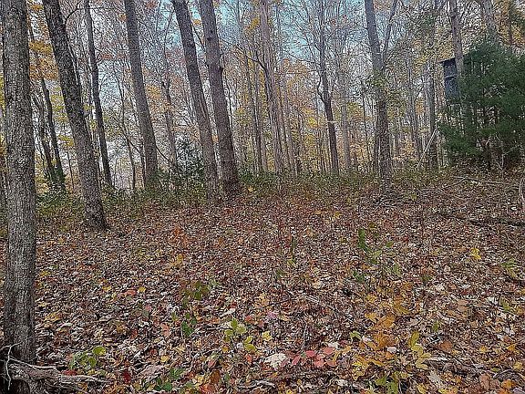 2nd image of 503 Carson Woods Rd