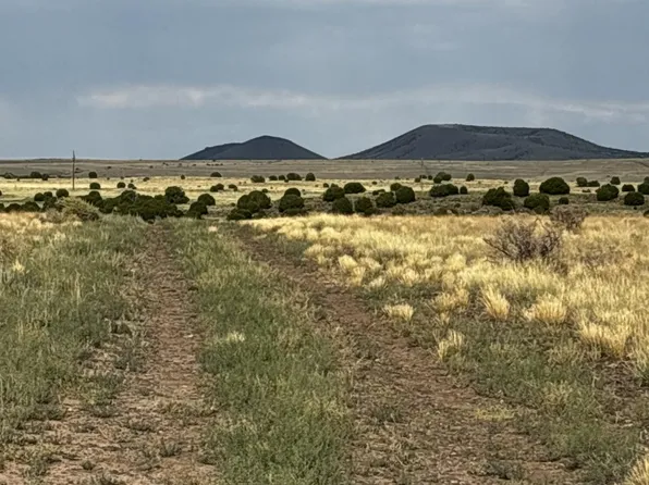 E County Road 3232, Concho, AZ 85924