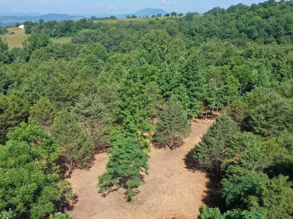 Forest Grove Rd, Lexington, VA 24450