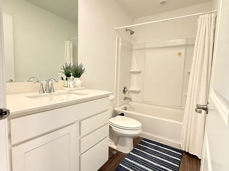 Guest bathroom