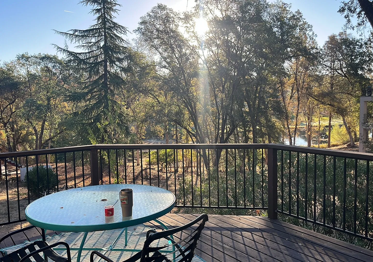 3 bed, 1496 sqft, $3,050 — Photo 3