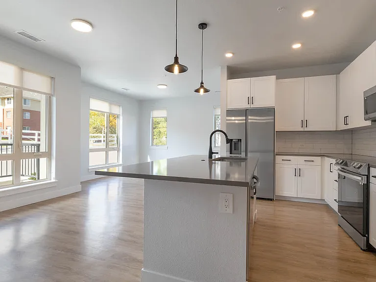 Kitchen and Living Area with Hard Surface Flooring