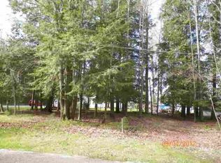 0 Birch Ct, Cadillac, MI 49601