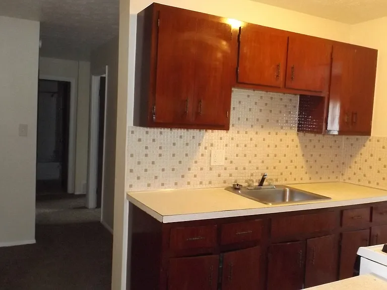 841 Silver Meadows Blvd — Photo 10