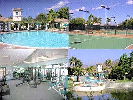 Pool_Collage