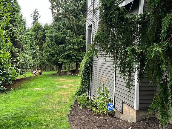 Side yard with bunch of vegetables growing along the wall