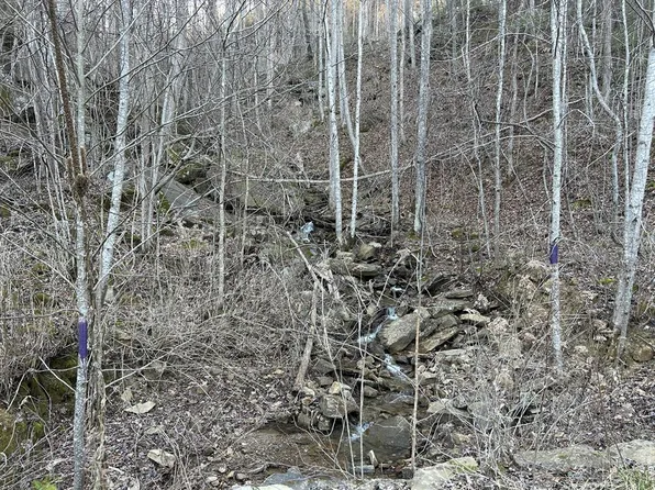 N/a E Obey Ln, Wilder, TN 38589