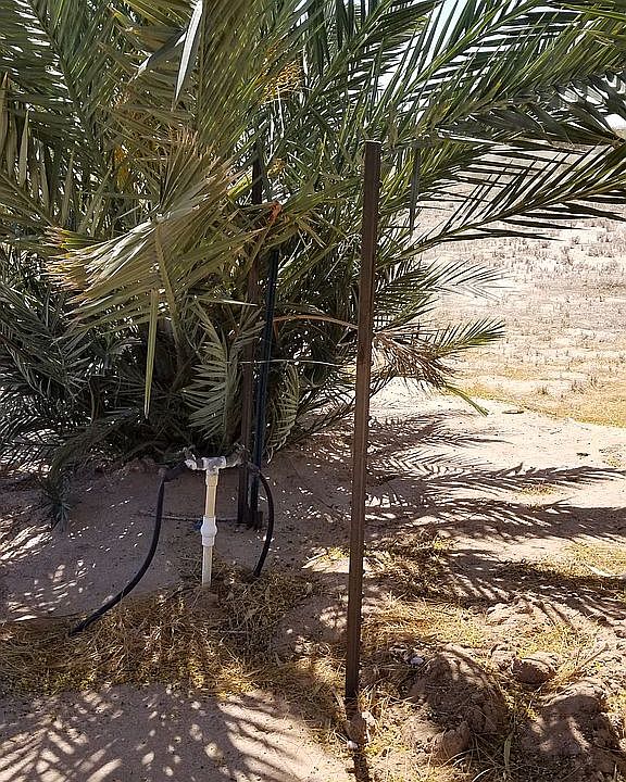 1st image of 37739 Turquoise Dr