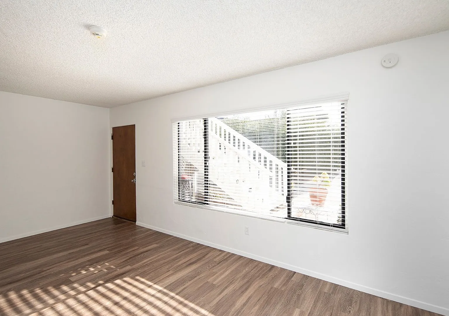 Spacious 1BR in Great Ocean Beach/Point Loma Area! — Photo 4