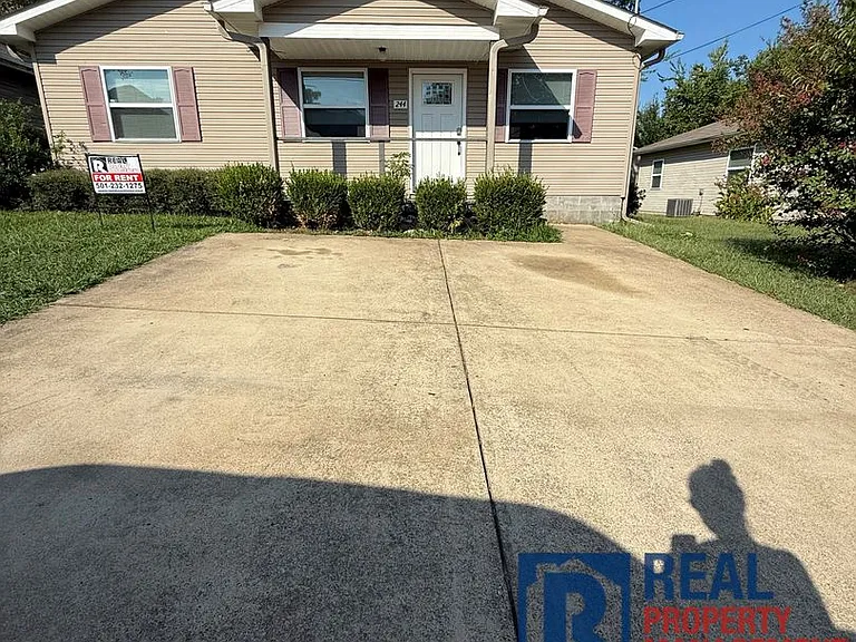 244 Palmetto St — Photo 4