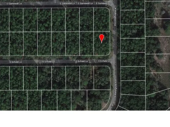 459 E Enfield Ln, Citrus Springs, FL 34434