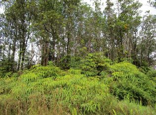 Ohialani Rd, Volcano, HI 96785