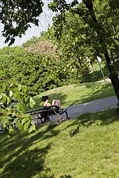 Rented by Stellar Management