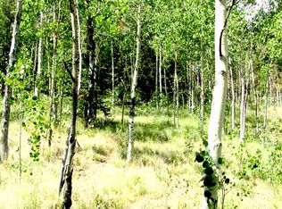 212 Summit Loop, Florissant, CO 80816