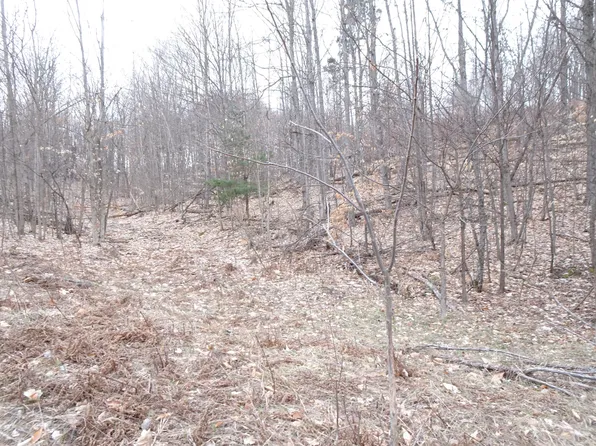 Chief Rd, Bear Lake, MI 49614