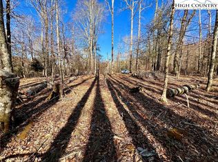 LOT 46 Big Bear Trl, Linville, NC 28646