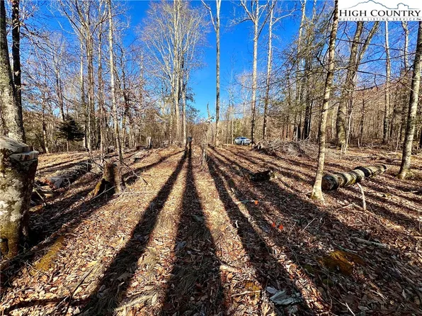 TBD Lot #46 Big Bear Trail, Linville, NC 28646
