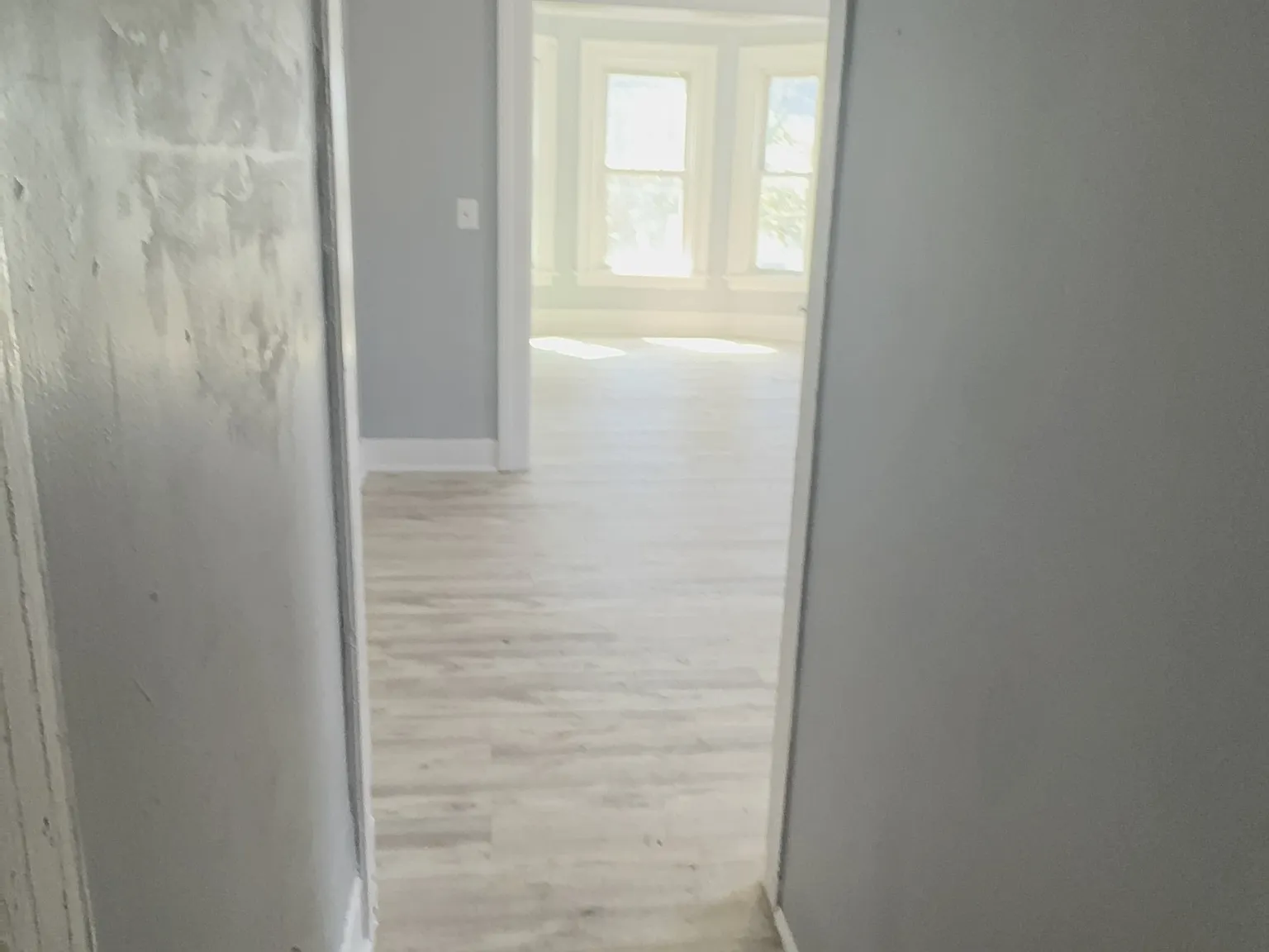 339 Orange St - 2 — Photo 4