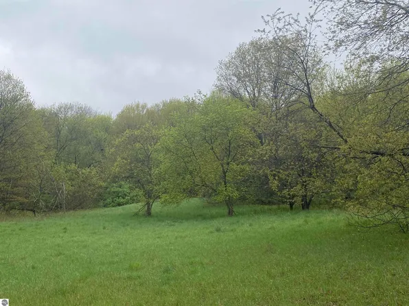 NULLF N Marshall Rd, Beulah, MI 49617