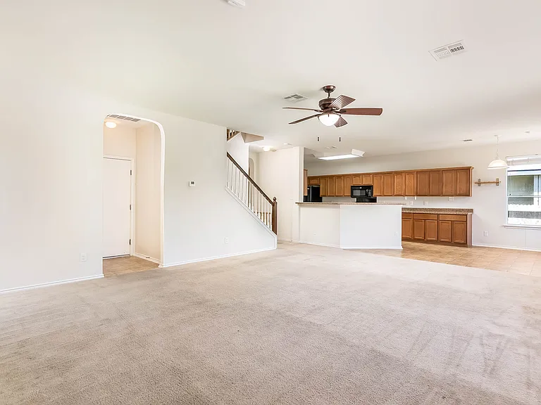 714 Celosia — Photo 3