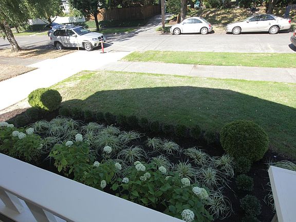 Front yard