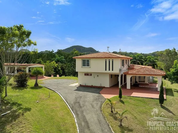 Bo Calvache Carr 115 Km #9.9, Rincon, PR 00677