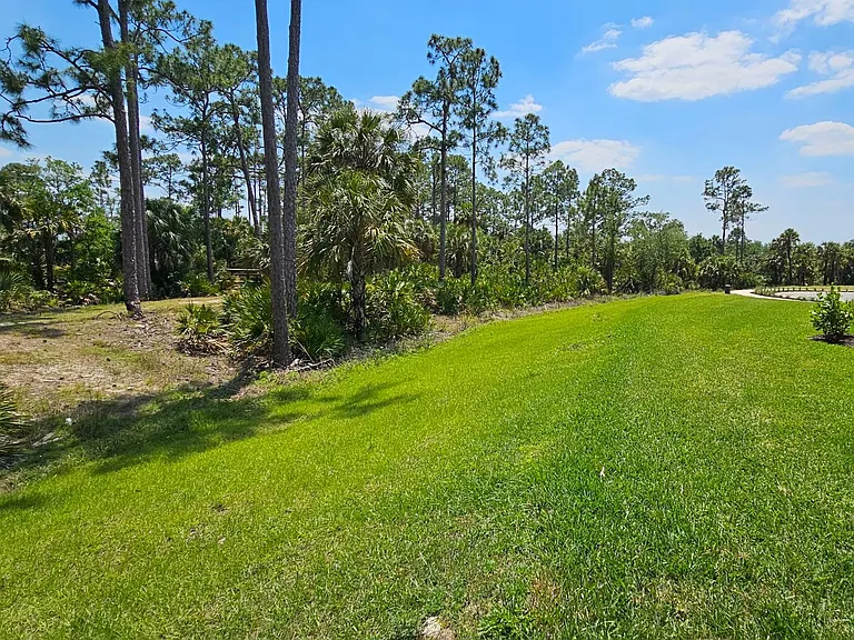 Side Yard view and access to Hiking Trails