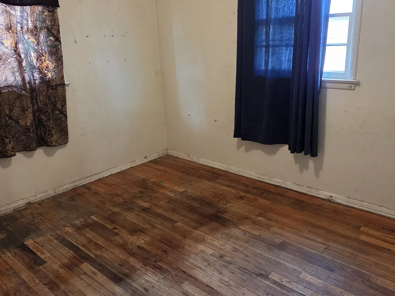 1 bed, 750 sqft, $575 — Photo 2