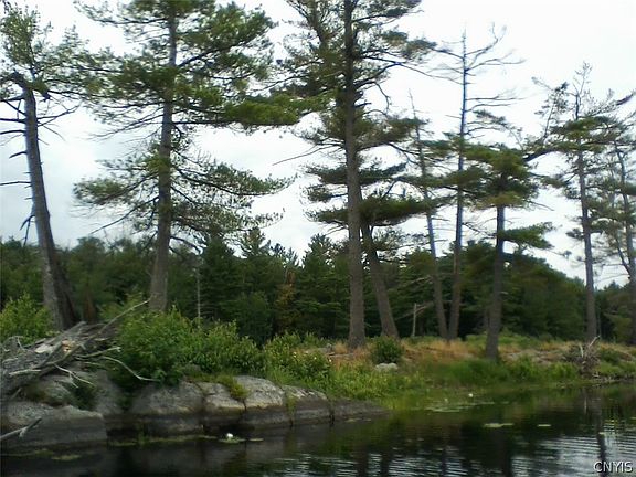 4th image of Island In Grass #5