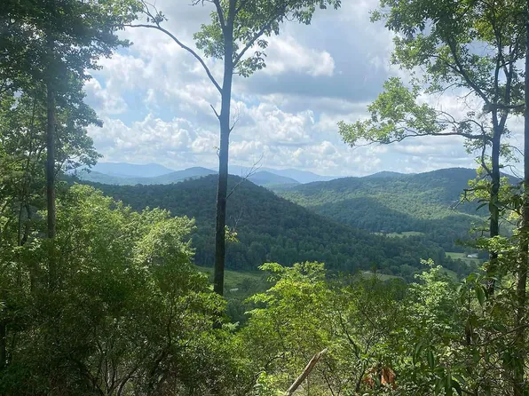 2 Oasis Dr, Blue Ridge, GA 30513