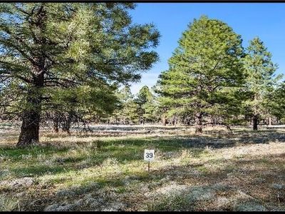 471 S Pinehurst Dr, Williams, AZ, 86046