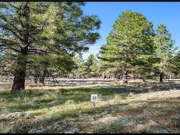 471 S Pinehurst Dr, Williams, AZ 86046