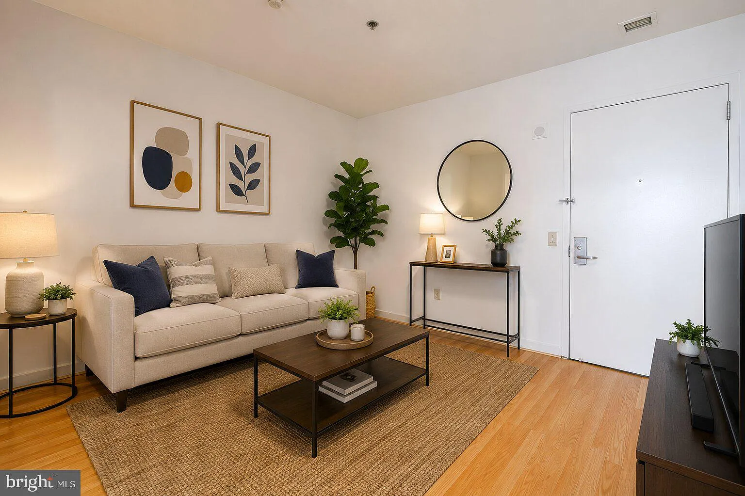 1 bed, 567 sqft, $1,600 — Photo 1