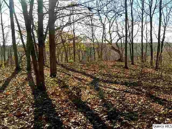 Home for Sale in Quincy, IL $95,000