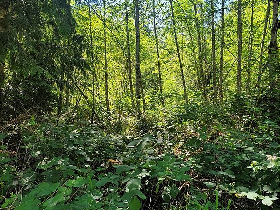 2nd image of 14701 NE 223rd Avenue