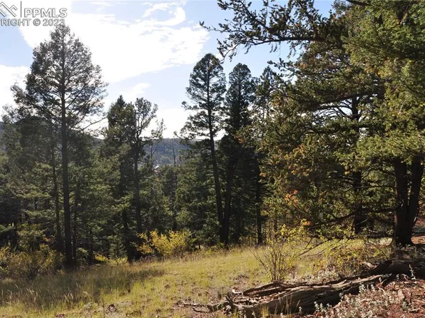 445 Bennett Dr, Cripple Creek, CO 80813