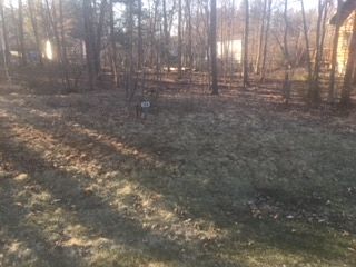 5th image of 268 Dogwood Wisconsin