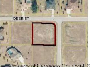 10513 Bedford Rd, Spring Hill, FL 34608