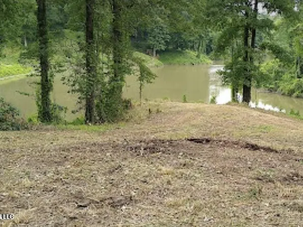 Woodland Lake Dr, Hernando, MS 38632