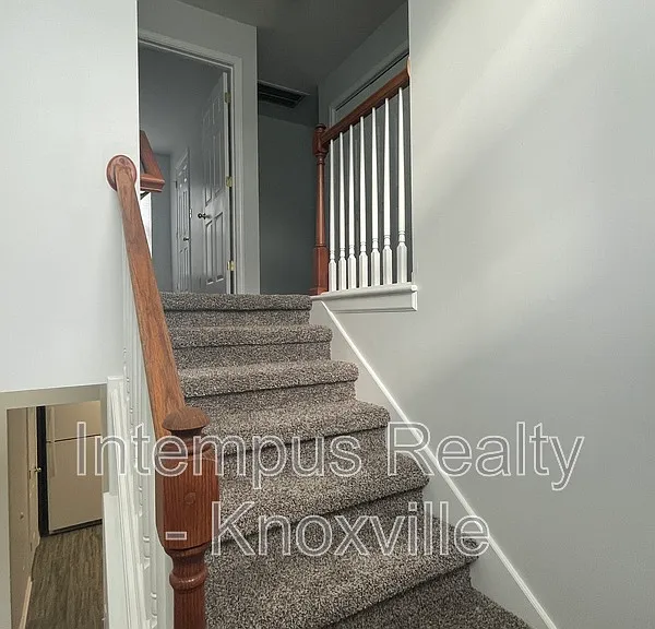 3119 Pinex Ln — Photo 19