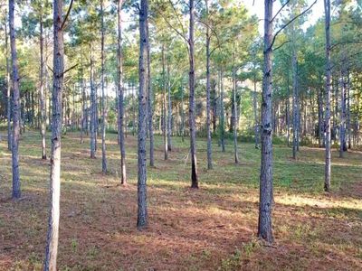 0 Collins Rd, Cairo, GA, 39828