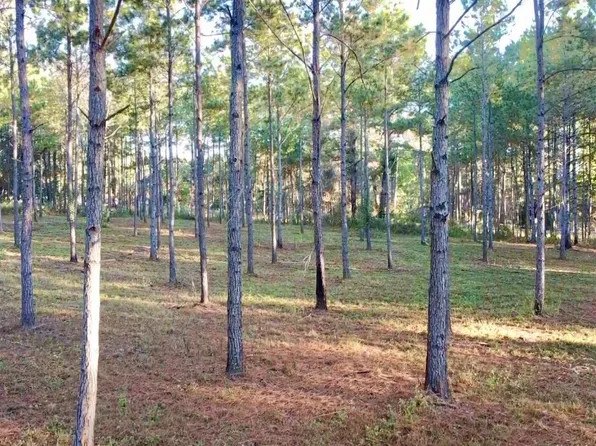 0 Collins Rd, Cairo, GA 39828