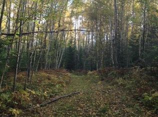 Xxxx Fish Lake Dam Rd, Duluth, MN 55803