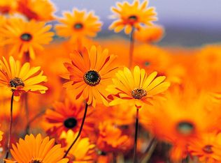 6945 Pickerington Rd NW, Carroll, OH 43112