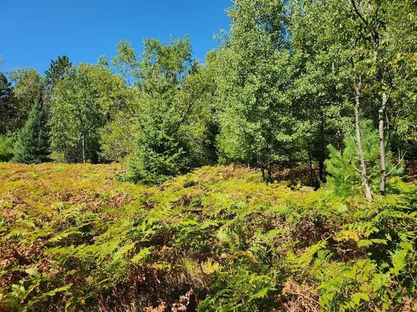 On COUNTY ROAD K Lot 9, Harshaw, WI 54529