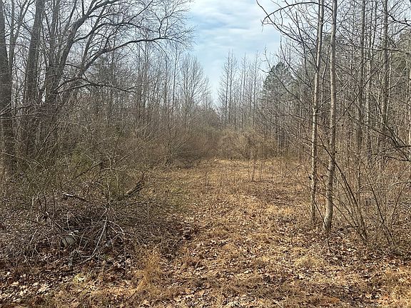 2nd image of 35 Coxs Store Rd